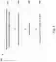 Fig. 08 - Strained gate semiconductor device having an interlayer dielectric doped with large species material
