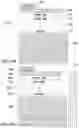 Fig. 11 - Back contact solar cell assemblies