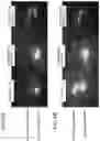 Fig. 05 - Ultraviolet detection device comprising a ceramic substrate and composite oxides