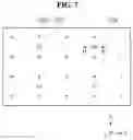 Fig. 08 - Display device and method of manufacturing the same