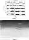 Fig. 03 - Templating layers for perpendicularly magnetized Heusler films/compounds