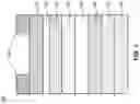 Fig. 04 - Ultrathin metal interlayer for improved injection into electron transport layer
