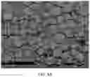 Fig. 05 - Method of Producing Electrode for All-Solid-State Battery with Improved Adhesive Strength