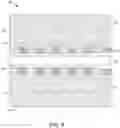 Fig. 10 - Solventless method of manufacturing multilayered electrodes
