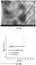 Fig. 03 - Anode for All-Solid-State Battery Including Coating Layer Containing Magnesium-Based Particles