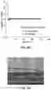 Fig. 05 - Anode for All-Solid-State Battery Including Coating Layer Containing Magnesium-Based Particles