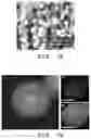 Fig. 06 - Anode Active Material for All-Solid-State Battery Comprising Carbon-Based Material and Silicon-Based Material and Method of Manufacturing Same