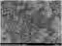 Fig. 01 - ANODE ACTIVE MATERIAL FOR LITHIUM SECONDARY BATTERY AND METHOD OF PREPARING THE SAME