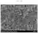 Fig. 03 - ANODE ACTIVE MATERIAL FOR LITHIUM SECONDARY BATTERY AND METHOD OF PREPARING THE SAME