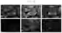 Fig. 04 - ANODE ACTIVE MATERIAL FOR LITHIUM SECONDARY BATTERY AND METHOD OF PREPARING THE SAME