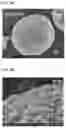 Fig. 06 - SURFACE TREATMENT SOLUTION, METHOD FOR PREPARING SURFACE TREATMENT SOLUTION, METHOD FOR PREPARING ACTIVE MATERIAL USING SURFACE TREATMENT SOLUTION, AND ACTIVE MATERIAL PREPARED THEREBY