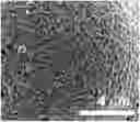 Fig. 01 - Composite positive electrode active material for lithium secondary battery, method of preparing the same, positive electrode for lithium secondary battery including the same, and lithium secondary battery including the positive electrode