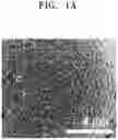 Fig. 02 - Composite positive electrode active material for lithium secondary battery, method of preparing the same, positive electrode for lithium secondary battery including the same, and lithium secondary battery including the positive electrode