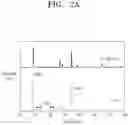 Fig. 05 - Composite positive electrode active material for lithium secondary battery, method of preparing the same, positive electrode for lithium secondary battery including the same, and lithium secondary battery including the positive electrode