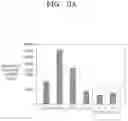 Fig. 08 - Composite positive electrode active material for lithium secondary battery, method of preparing the same, positive electrode for lithium secondary battery including the same, and lithium secondary battery including the positive electrode