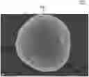 Fig. 01 - COMPOSITE METAL OXIDE FOR LITHIUM SECONDARY BATTERY COMPRISING DOPING ELEMENT, POSITIVE ELECTRODE ACTIVE MATERIAL FOR LITHIUM SECONDARY BATTERY PREPARED FROM SAME, AND LITHIUM SECONDARY BATTERY COMPRISING SAME