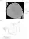 Fig. 03 - COMPOSITE METAL OXIDE FOR LITHIUM SECONDARY BATTERY COMPRISING DOPING ELEMENT, POSITIVE ELECTRODE ACTIVE MATERIAL FOR LITHIUM SECONDARY BATTERY PREPARED FROM SAME, AND LITHIUM SECONDARY BATTERY COMPRISING SAME