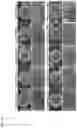 Fig. 21 - COMPOSITE METAL OXIDE FOR LITHIUM SECONDARY BATTERY COMPRISING DOPING ELEMENT, POSITIVE ELECTRODE ACTIVE MATERIAL FOR LITHIUM SECONDARY BATTERY PREPARED FROM SAME, AND LITHIUM SECONDARY BATTERY COMPRISING SAME