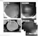 Fig. 41 - COMPOSITE METAL OXIDE FOR LITHIUM SECONDARY BATTERY COMPRISING DOPING ELEMENT, POSITIVE ELECTRODE ACTIVE MATERIAL FOR LITHIUM SECONDARY BATTERY PREPARED FROM SAME, AND LITHIUM SECONDARY BATTERY COMPRISING SAME