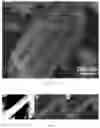 Fig. 03 - Highly dispersed silicon-carbon solid sol, preparation method and application thereof