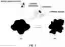 Fig. 02 - Manufacturing method of support for catalyst of fuel cell