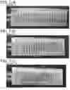 Fig. 32 - Battery and method for manufacturing battery