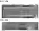 Fig. 21 - BATTERY AND MANUFACTURING METHOD OF THE SAME
