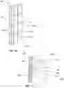 Fig. 10 - Conformal wearable battery