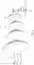 Fig. 05 - Mechanically adjustable antenna positioning system