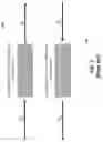 Fig. 04 - Apparatus for broadband wavelength conversion of dual-polarization phase-encoded signal