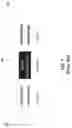 Fig. 10 - Apparatus for broadband wavelength conversion of dual-polarization phase-encoded signal