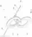 Fig. 02 - Antenna assemblies
