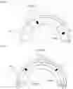 Fig. 02 - 2-segment quasi-Halbach rotor of motor