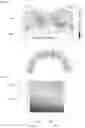 Fig. 03 - 2-segment quasi-Halbach rotor of motor