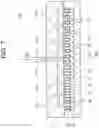 Fig. 08 - STATOR, MOTOR, FAN, AIR CONDITIONER, AND MANUFACTURING METHOD OF STATOR