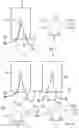 Fig. 04 - Kit of parts for a solar module system, method for producing a solar module system, and use of a spacer