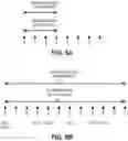 Fig. 06 - Configuration of ADC data rates across multiple physical channels