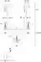 Fig. 01 - Method for performing beam sweeping by user equipment in wireless communication system supporting sidelink, and device therefor