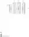 Fig. 08 - Encryption system, key generation apparatus, key generation method, key generation program, and homomorphic operation apparatus