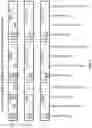 Fig. 14 - Query prints (Qprints): telemetry-based similarity for DNS