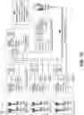 Fig. 04 - Systems and methods for automated remote network performance monitoring