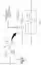 Fig. 02 - Fine-grained control over routing resolution behavior