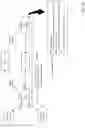 Fig. 09 - Fine-grained control over routing resolution behavior