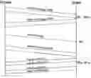 Fig. 01 - Method and device for detecting IPv6 aliased prefix based on fragmented fingerprint