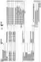 Fig. 05 - Network layer signaling security with next generation firewall