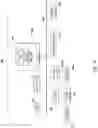 Fig. 09 - Systems and methods for remote control in information technology infrastructure
