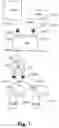 Fig. 09 - COMMUNICATION SYSTEM WITH ACCESSORY DEVICE CONFIGURATION