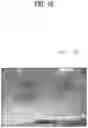 Fig. 11 - Dust measurement device
