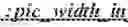 Fig. 123 - Subpicture dependent signaling in video bitstreams