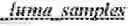 Fig. 124 - Subpicture dependent signaling in video bitstreams